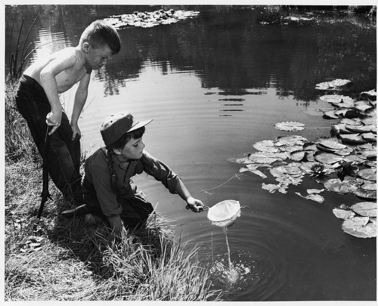 How to Get Your Kids to Love Nature | The Art of Manliness