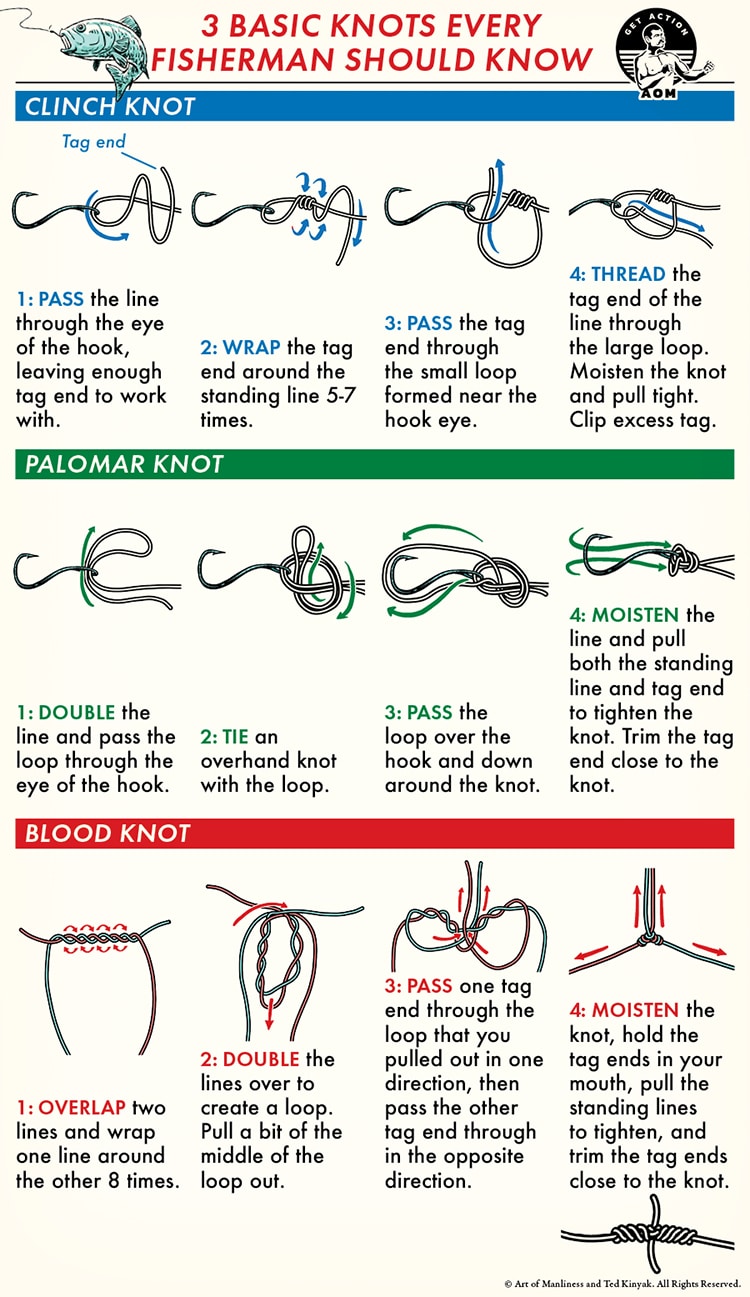 Instructional infographic displaying step-by-step illustrations and directions for tying the clinch knot, palomar knot, and blood knot—perfect for fly fishing beginners learning how to fly fish.