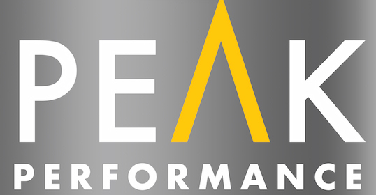 A close up of a logo designed to Elevate Your Game.