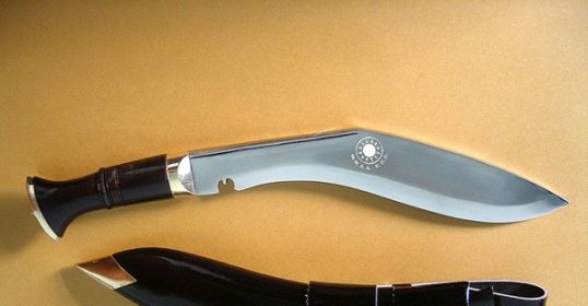 A knife with a black handle and a sheath.