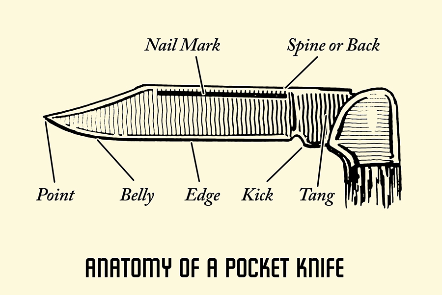 Pocket knife anatomy illustration.