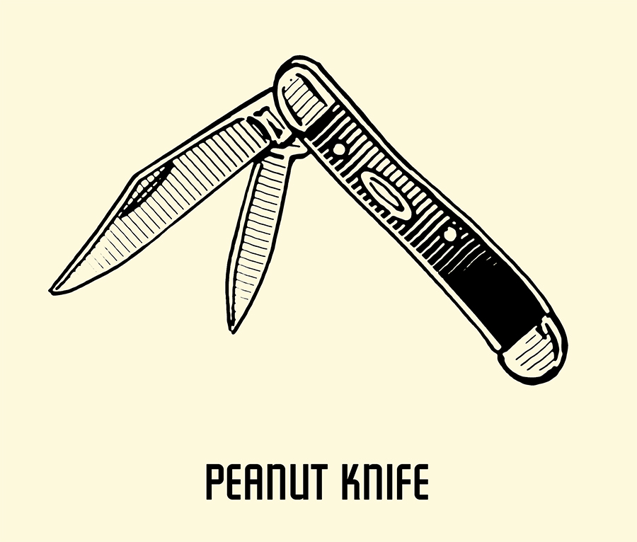 Peanut pocket knife illustration.