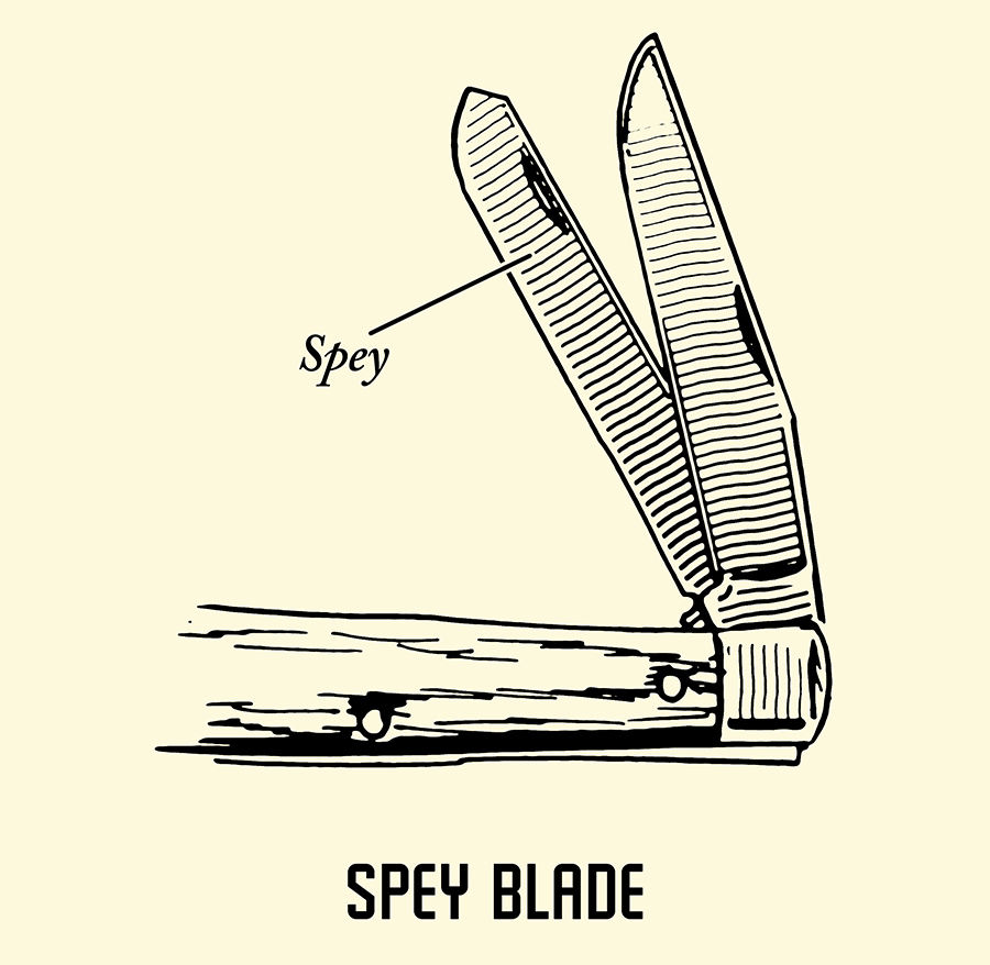 Spey pocket knife blade illustration.