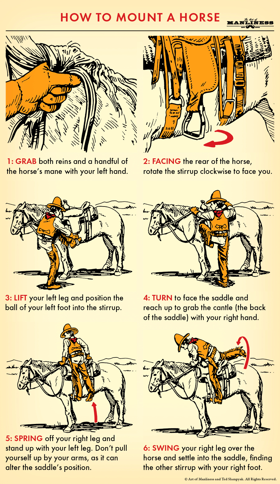 Basic steps illustrated for mounting a horse.