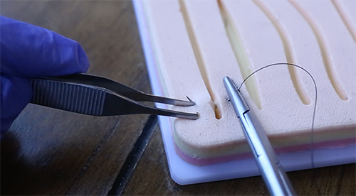 Suturing cotton with the help of tweezer and needle holder.