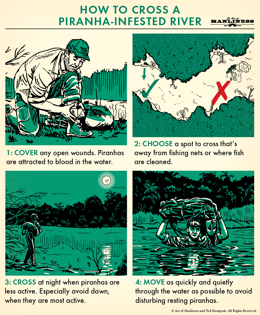 Illustration about crossing a piranha-infested river.