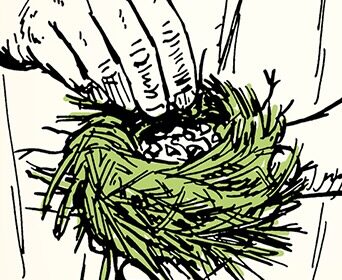 A hand gently touches a tinder bundle, depicted in a black and white sketch.