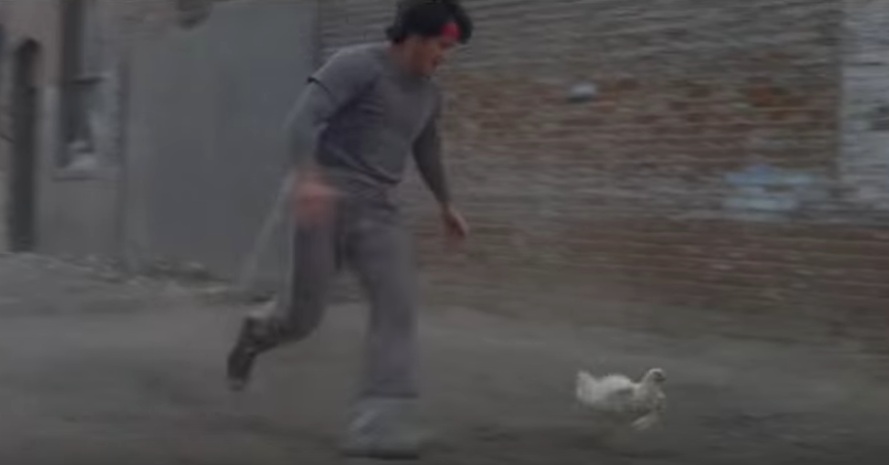 Rocky chasing a chicken.