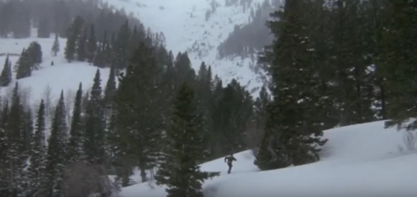 Rocky running in snow on a mountain.