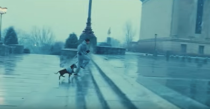 Rocky running on stairs with his dog.