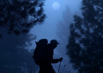 A silhouette of a hiker walking through the woods at night, creating a magical scene.