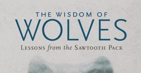 A book cover featuring a mountain range.