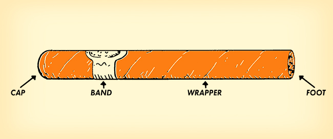 Different parts of Cigar.