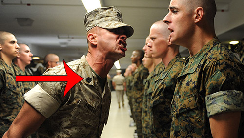 Officer with combat uniform pin on collar shouting at company. 