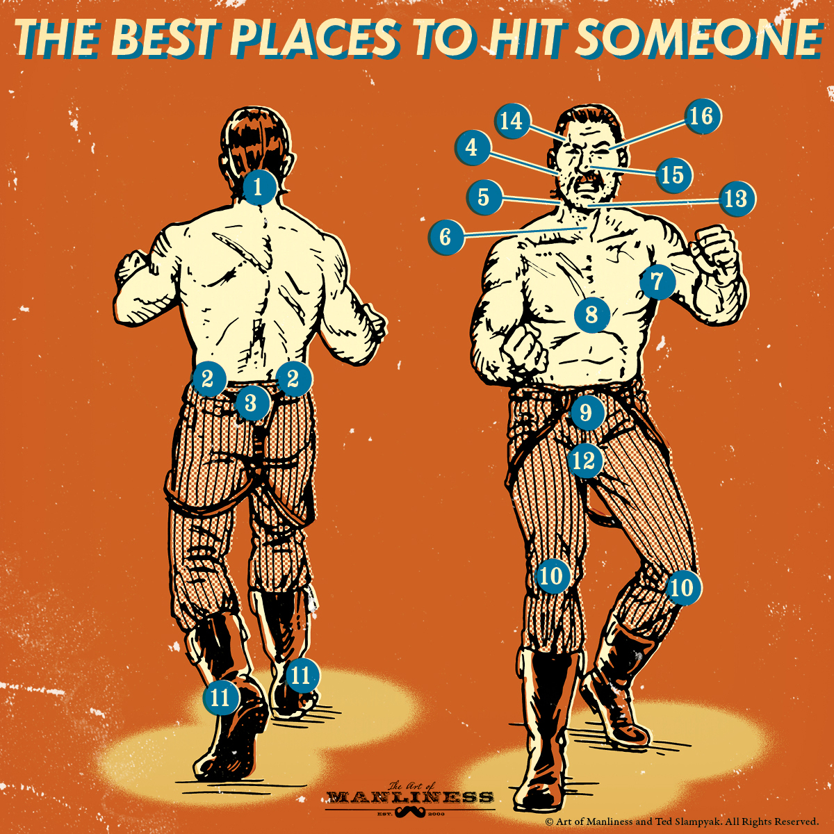 Illustration show body parts to hit someone to inflict the most damage.