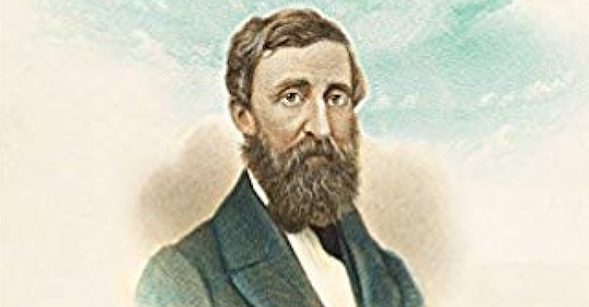 An image of a man with a mystical beard.