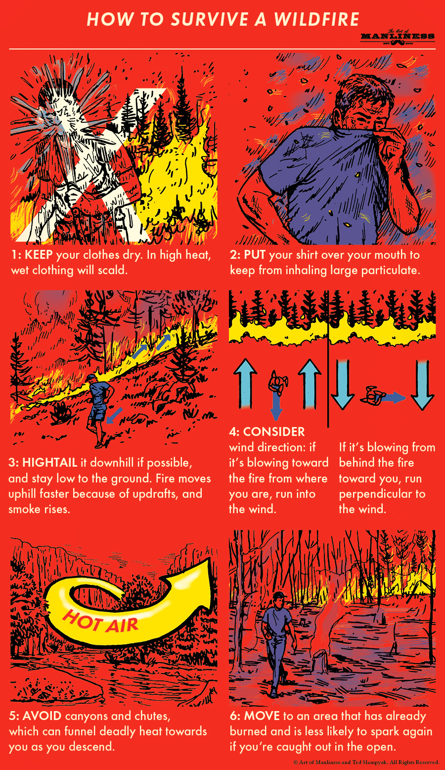 Steps about surviving a wildfire.