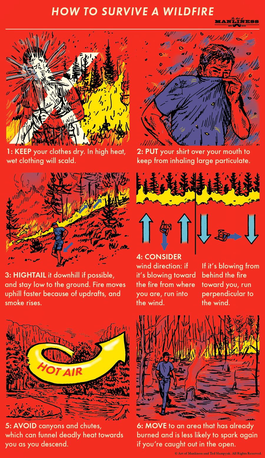 How to Survive a Mountain Lion Encounter | The Art of Manliness