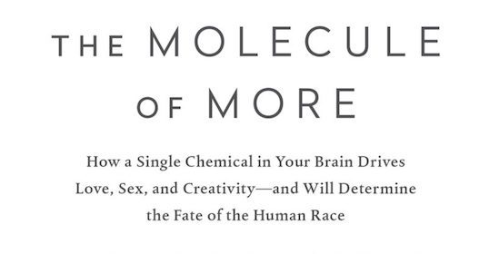 Discover how a single brain chemical drives love, sex, and creativity with motivation and excitement.