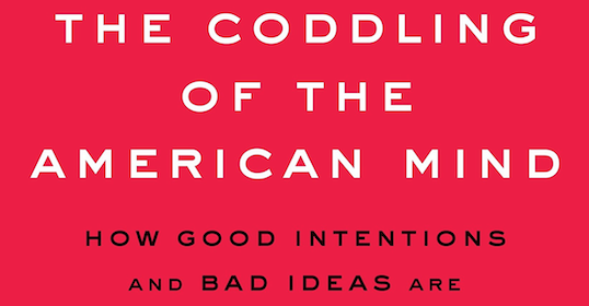 Podcast discussing the failure of good intentions in shaping the mindset of the American generation.