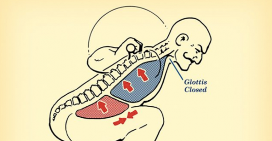 A diagram of a person's back, highlighting the location of the lumbar spine.