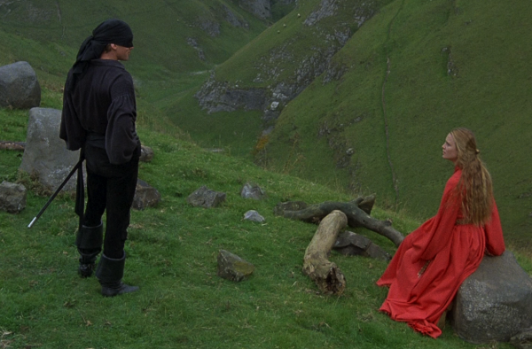 Scene from the movie "The Princess bride" in which hero is looking at heroin on hill.