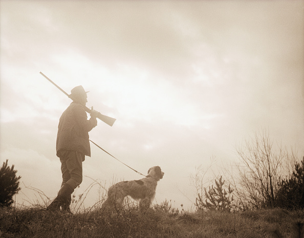 Handsome hunter man holding gun and walking in forest. American