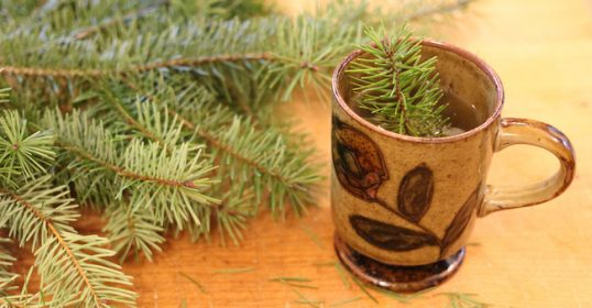 How to make a mug with pine needles on it.