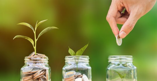 A hand is putting coins into a glass jar with a plant growing out of it, symbolizing financial independence.