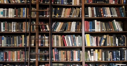 A library with many books and a ladder for those who love to read.