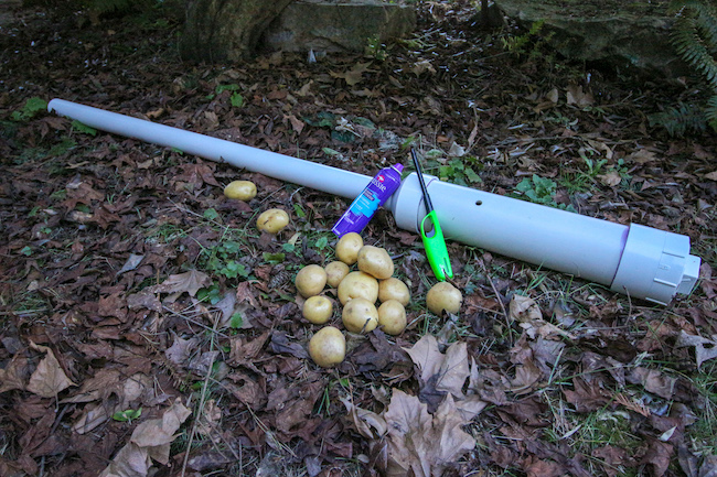 Learn how to make a potato cannon with these potatoes laying on the ground.