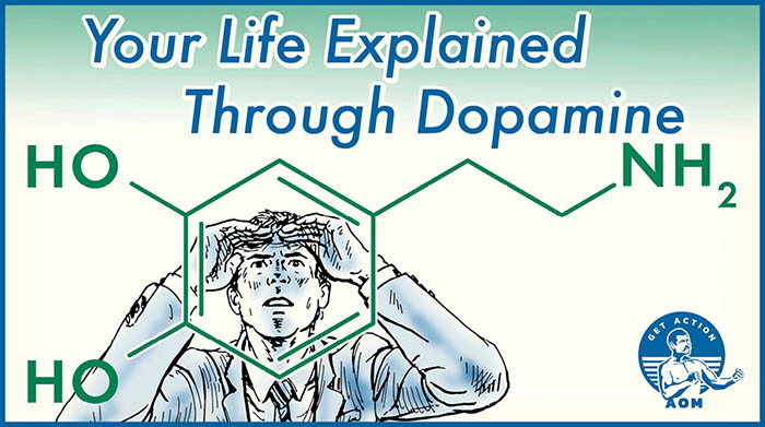 Your life explained through dopamine