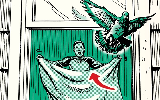 A person with a blanket stands beneath a flying bird near a window, attempting to aid in bird removal. A red arrow is drawn on the blanket to help get the bird out safely.