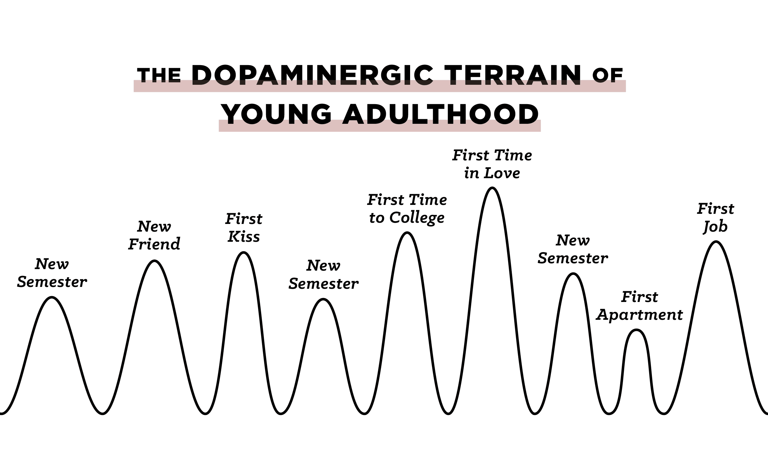 Graph of "The Dopaminegic Terrain Of Young Adulthood". 