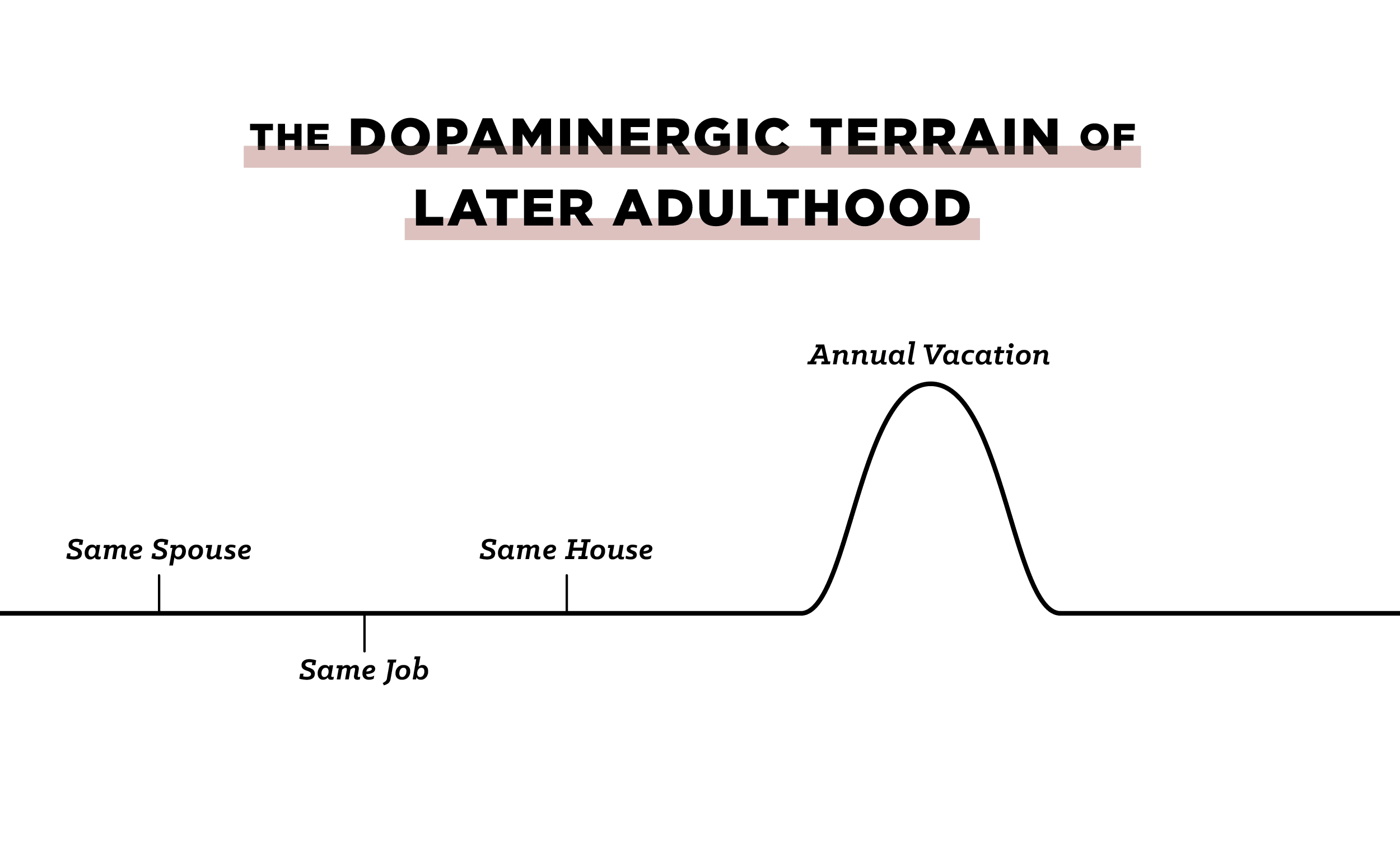 Graph of "The Dopaminegic Terrain Of Later Adulthood".