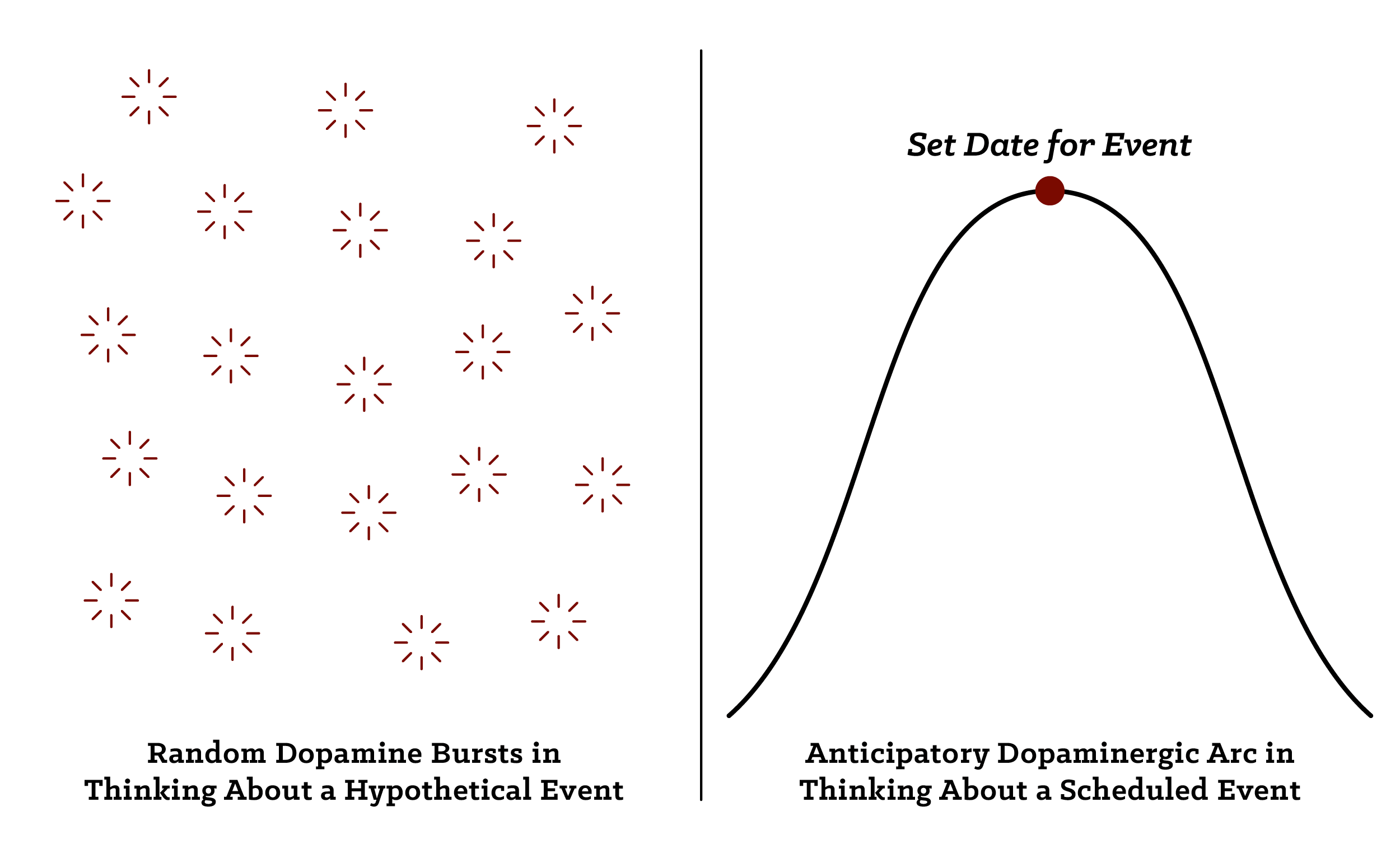 Graphical Comparison between Random dopamine bursts in thinking about a hypothetical event and Anticipatory dopaminegic arc in scheduled event.