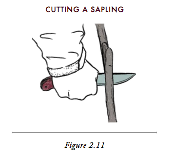 Cutting of sapling with knife.