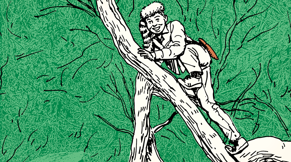 An illustration of a man climbing a tree in summer.