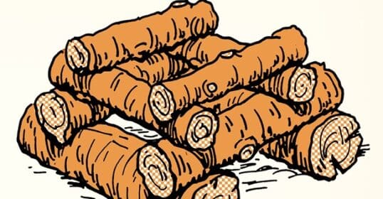Illustration of a neatly stacked pile of cut logs arranged in a crisscross pattern, showing the ends of the logs with visible rings—perfect to build a summer fire.