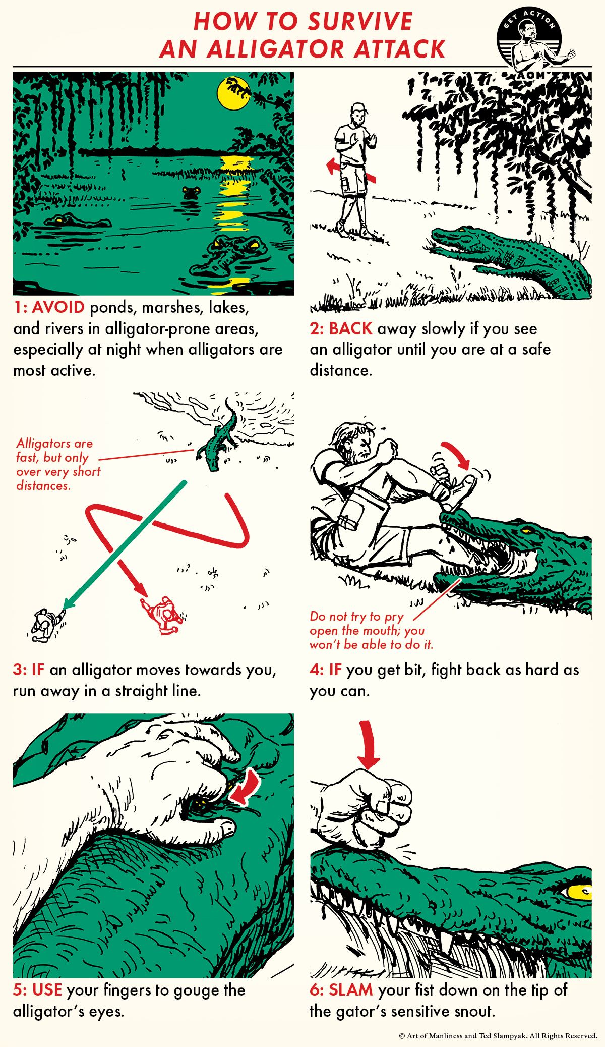 A comic guide of how to survive an alligator attack.