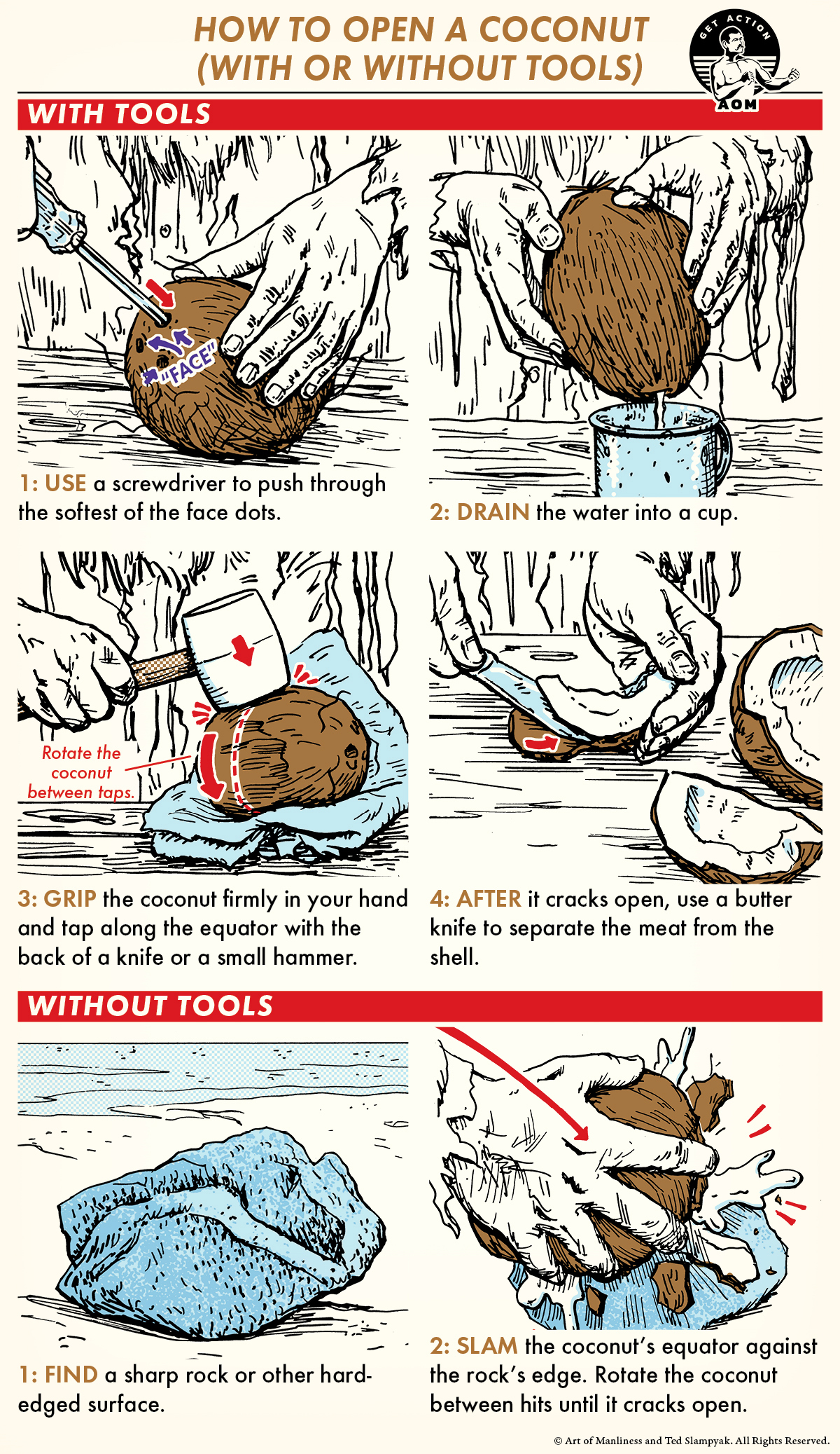 A comic guide How to open a coconut with hammer and screw driver.