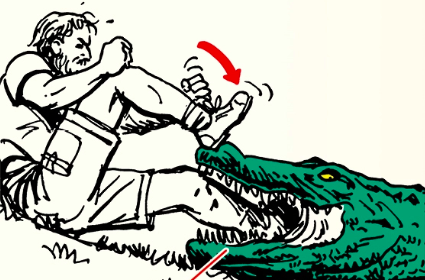 A man is attacking an alligator with his foot in order to survive.