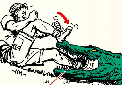 A man is attacking an alligator with his foot in order to survive.
