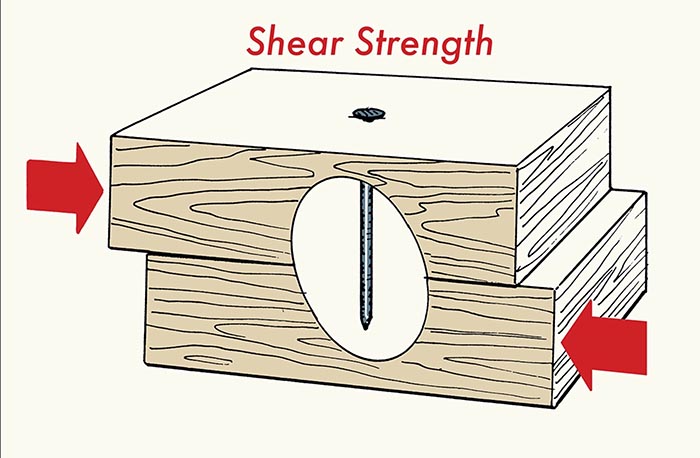 SCREWS VS NAILS: WHICH SHOULD YOU USE AND WHEN : BEWOODED