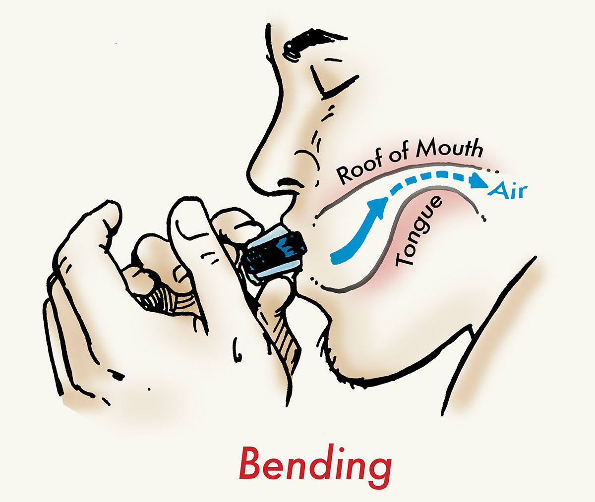 Illustration of elevating tongue in mouth to constrict the airflow of the harmonica.