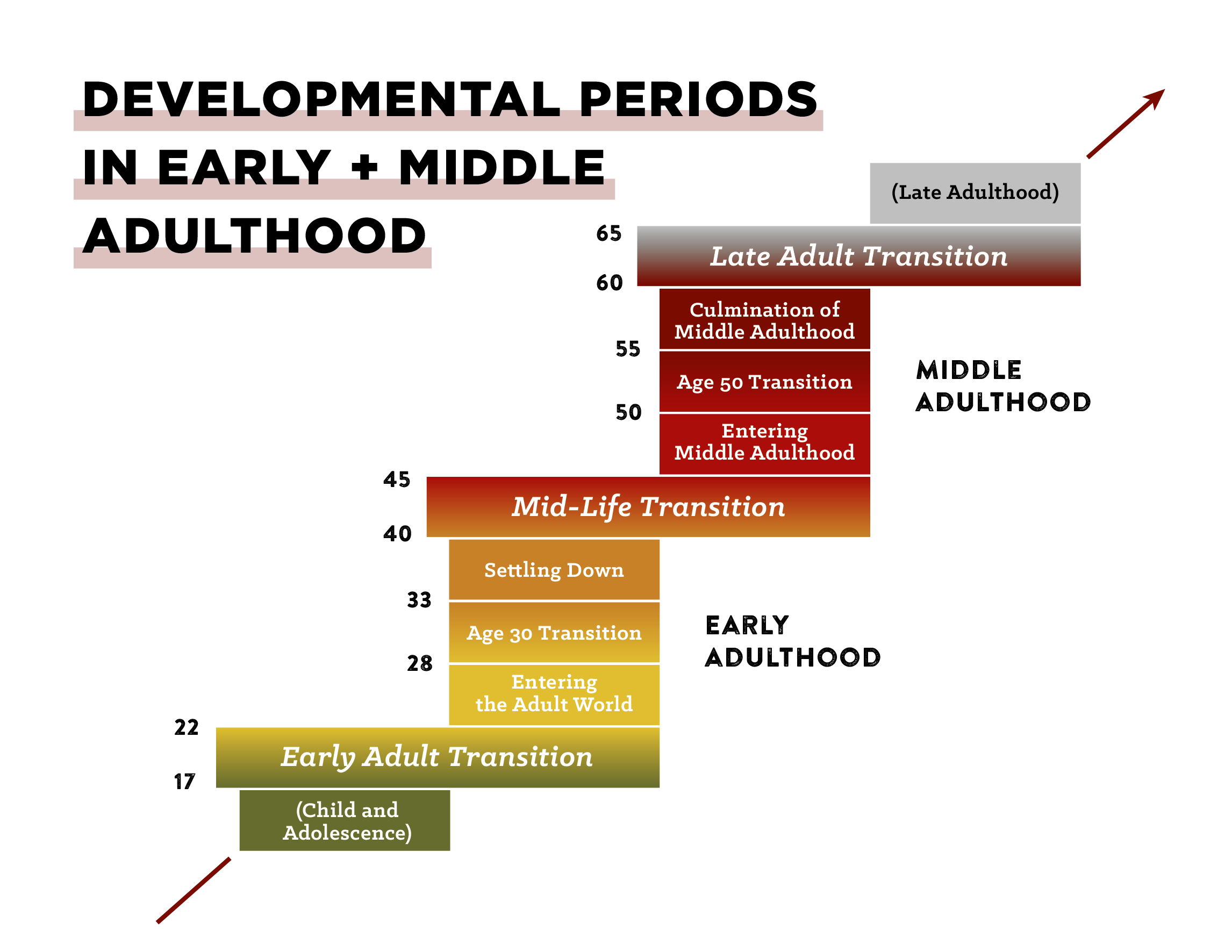 Table showing developmental periods in childhood and adulthood.