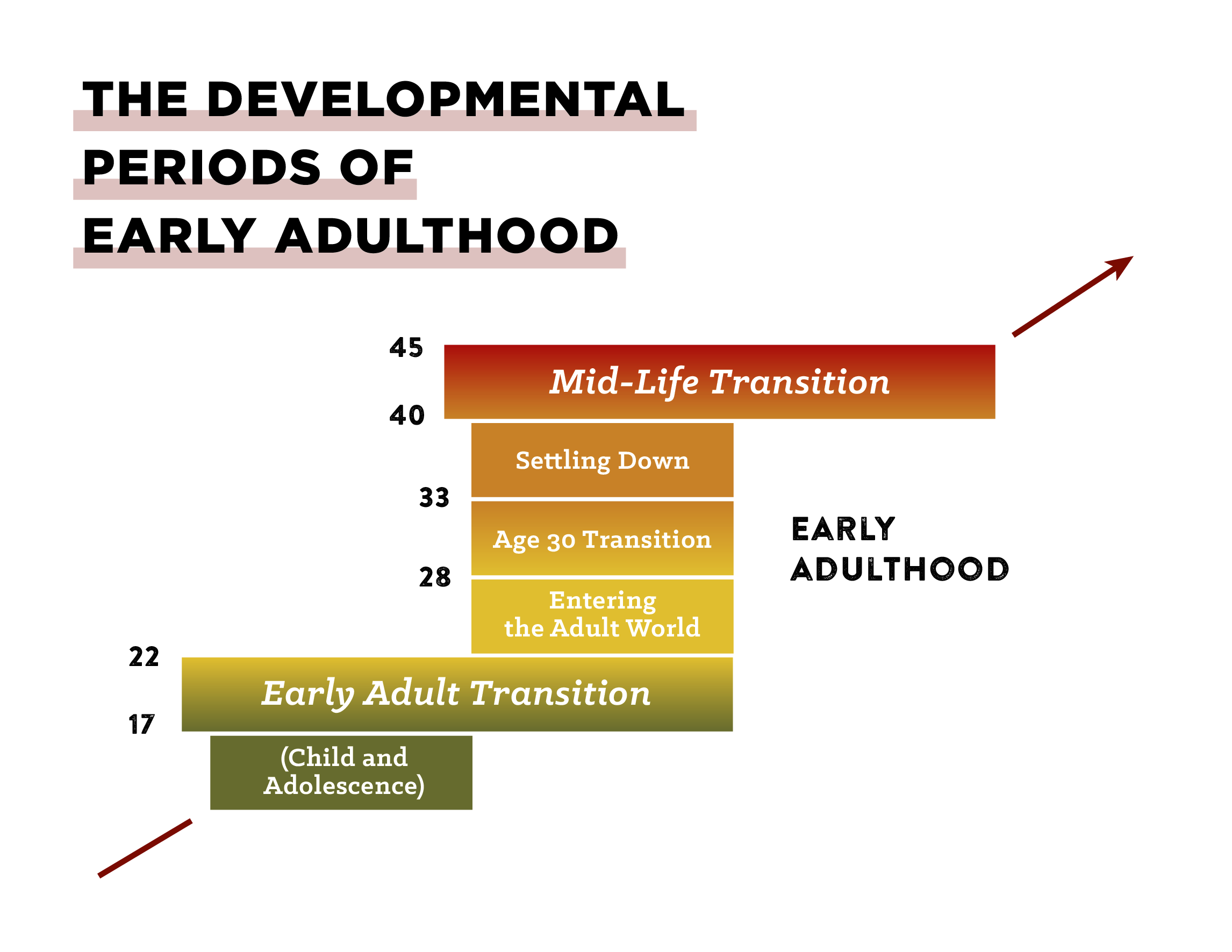 Table of "The Developmental Periods Of Early Adulthood" is displayed.