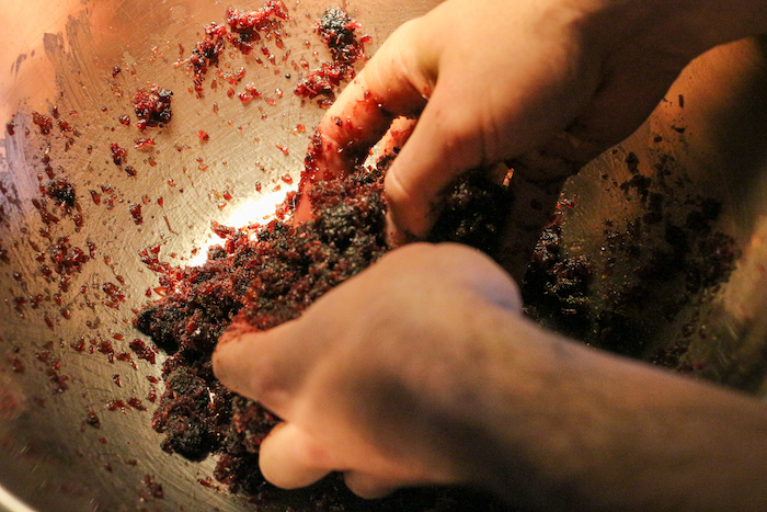 Tallow being mixed in jerky with hands. 