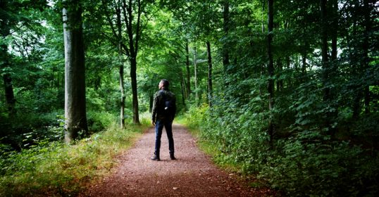 A man is standing on a path in the woods, connecting with his natural instincts.