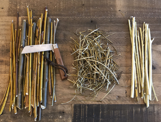 Fresh and dried willow barks with pocket knife.